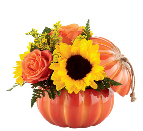BOUQUET TRADITIONS DE RECOLTE DE CITROUILLE