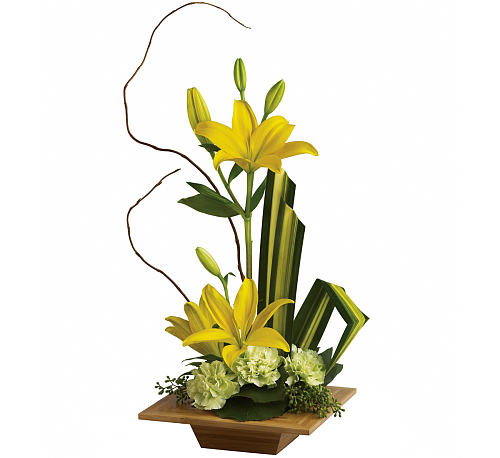 ARRANGEMENT ART DE BAMBOO