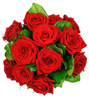 BOUQUET DE 12 ROSES ROUGES