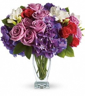 Rhapsodie en violet