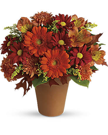 BOUQUET LUEUR DOREE
