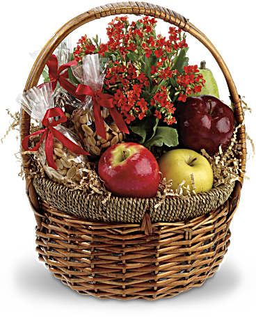 Panier Gourmet Sante et Plante 