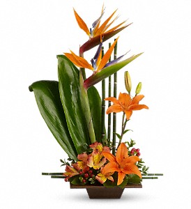 arrangement Grace exotique 