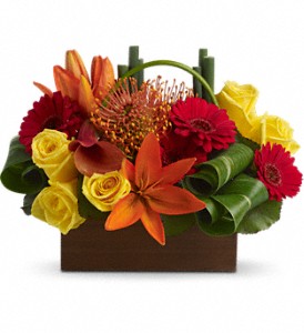 ARRANGEMENT Evasion de bambous