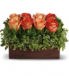 arrangement huppe