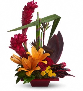 arrangement Euphorie tropicale