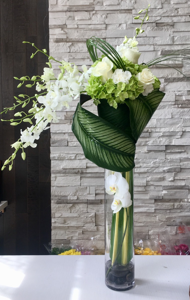 UN REVE D'ORCHIDEES
