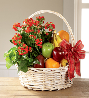 LE JARDIN DE FRUITS DU PARADIS