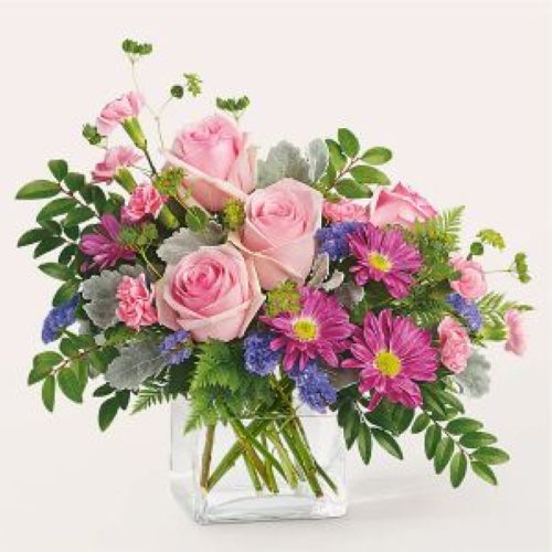 Bouquet Starlette