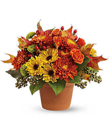 BOUQUET ERABLE AU SUCRE