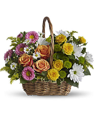 PANIER DOUCE TRANQUILITE