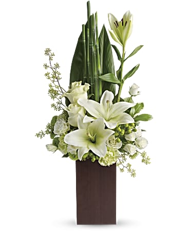 ARRANGEMENT PAIX ET HARMONIE