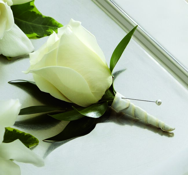 Boutonniere de rose blanche